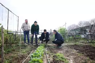 Burriana potencia sus huertos de ocio para fomentar la convivencia y combatir la soledad de los mayores