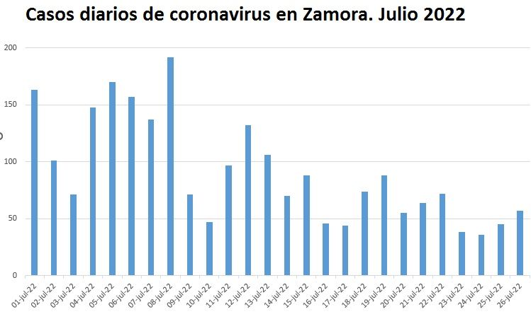 Evolución diaria de nuevos contagios de coronavirus en Zamora en julio de 2022