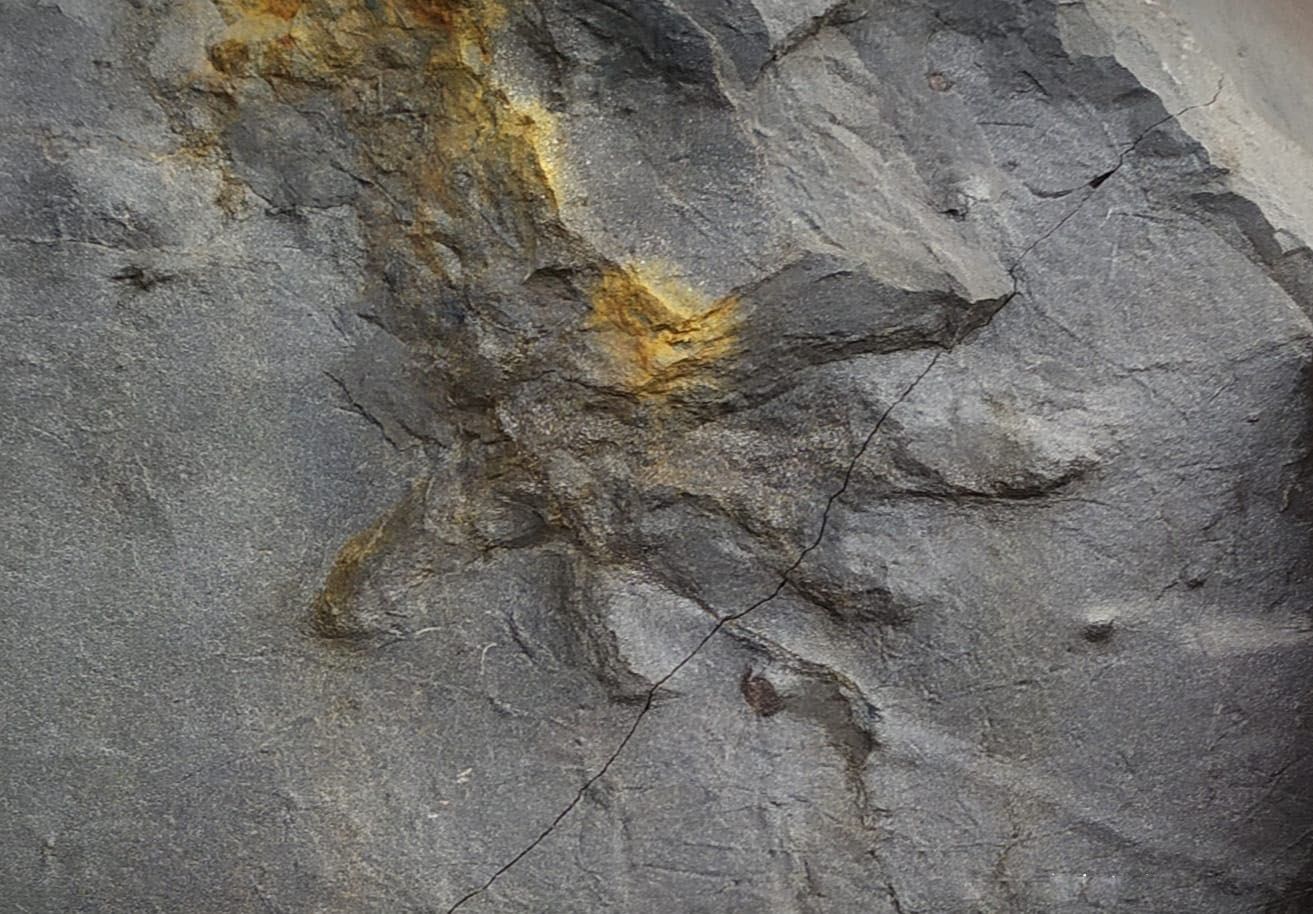 Localizan en la Gran Corta de Fabero (León) una huella de un anfibio de hace 300 millones de años