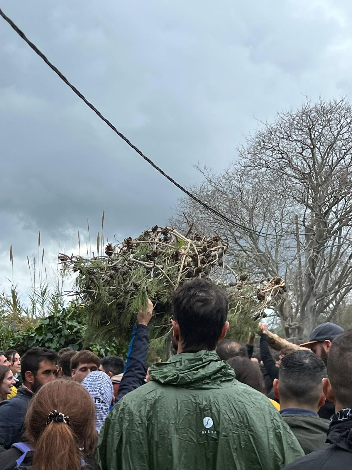 El Pi de Ternelles se dirige a la plaza vella de Pollença. El Pi de Ternelles se dirige a la plaza vella de Pollença.