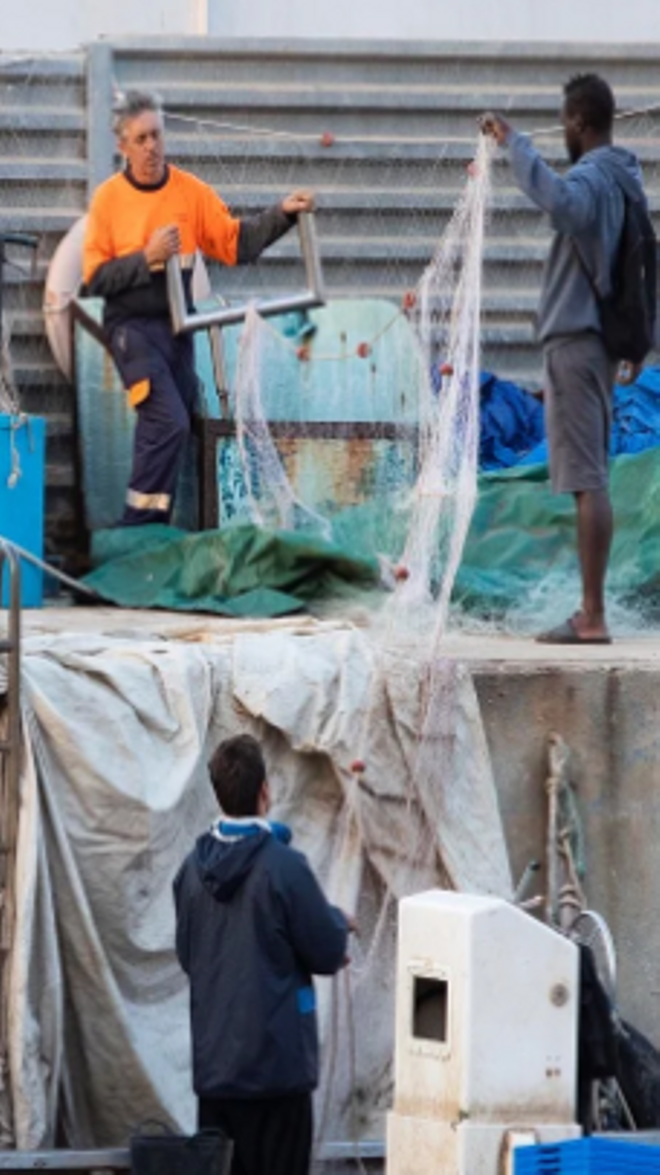 La crisis climática hunde la pesca en Barcelona