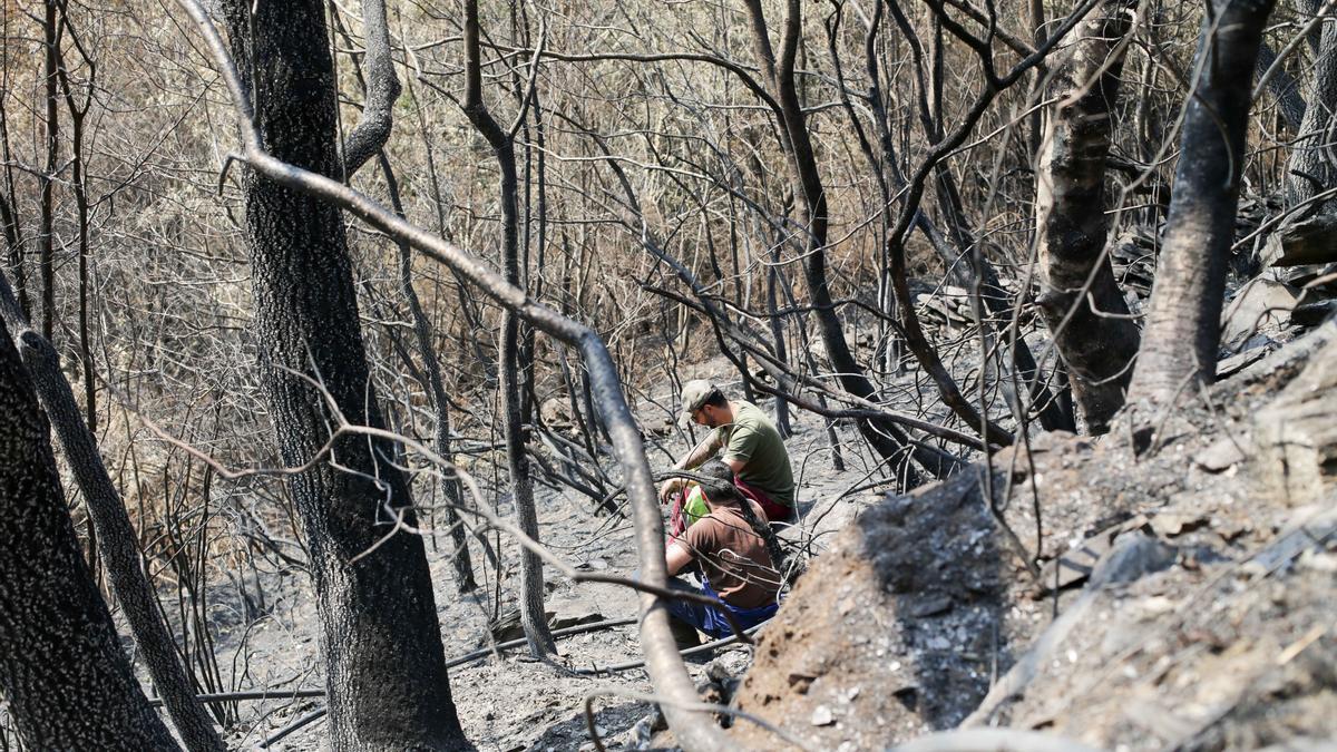 Voluntarios observan los daños de un incendio en Lugo.