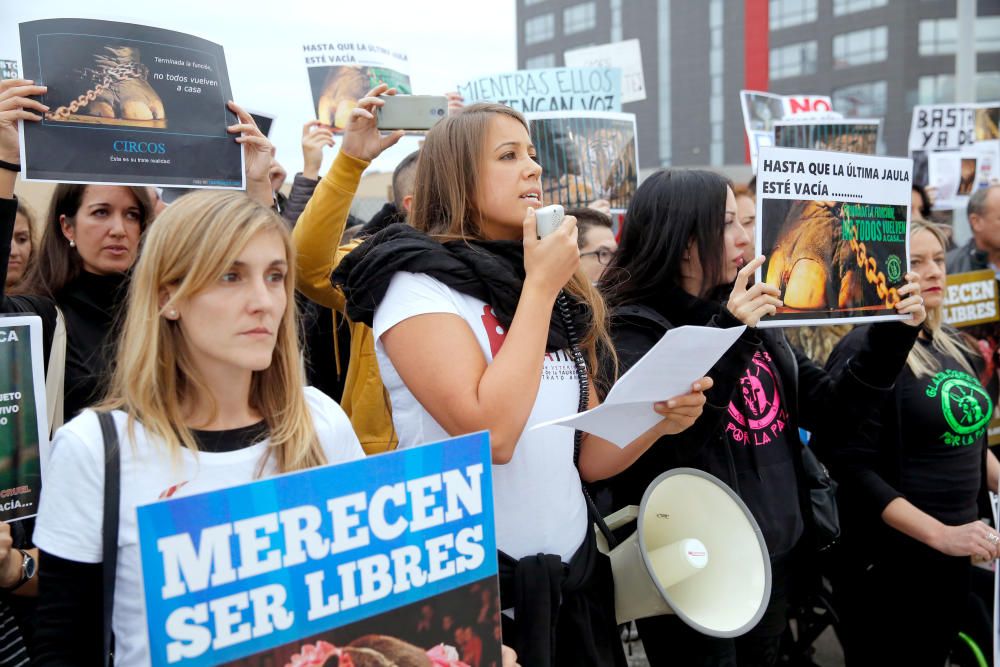 Protesta contra un circo con animales en Alfafar