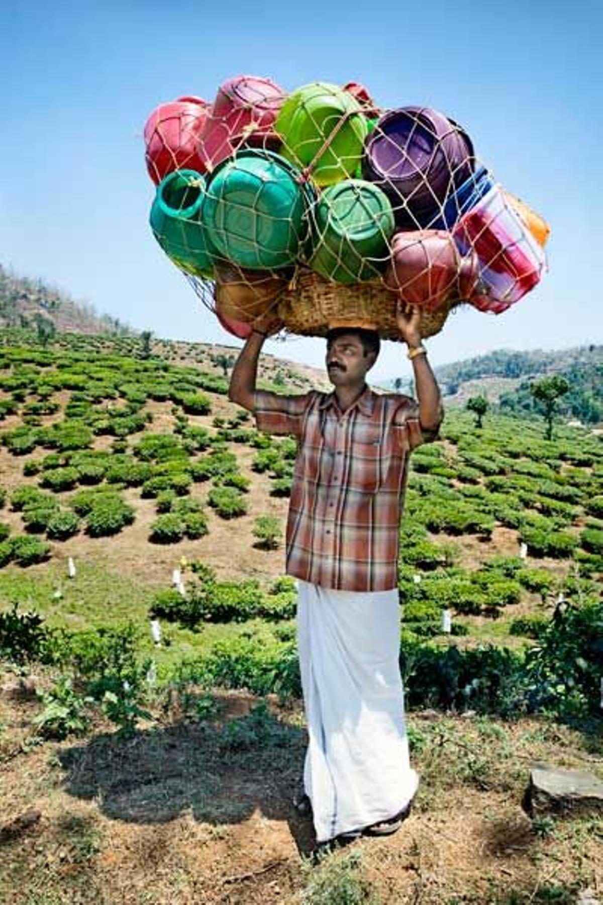 En Kerala también abundan las plantaciones.