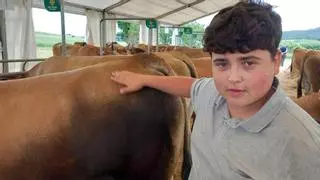 Brotes verdes en un concurso ganadero de Gozón: "Toñito" tiene 14 años y pasión por las vacas