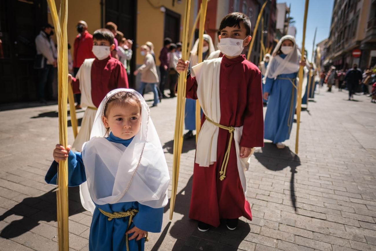 Procesión del Paso de la Entrada de Jesús a Jerusalén en La Laguna