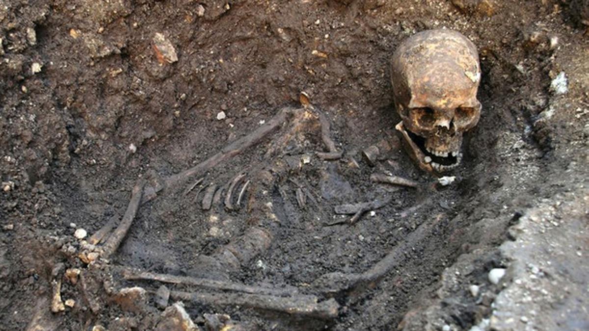 Esqueleto hallado en el aparcamiento de Leicester y que corresponde al rey Ricardo III.