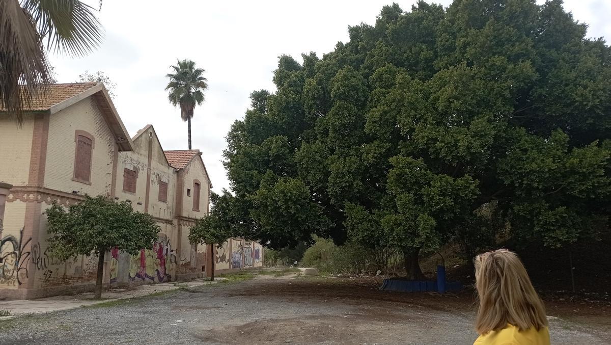 Parte trasera de la estación, para la que piden también mejoras.