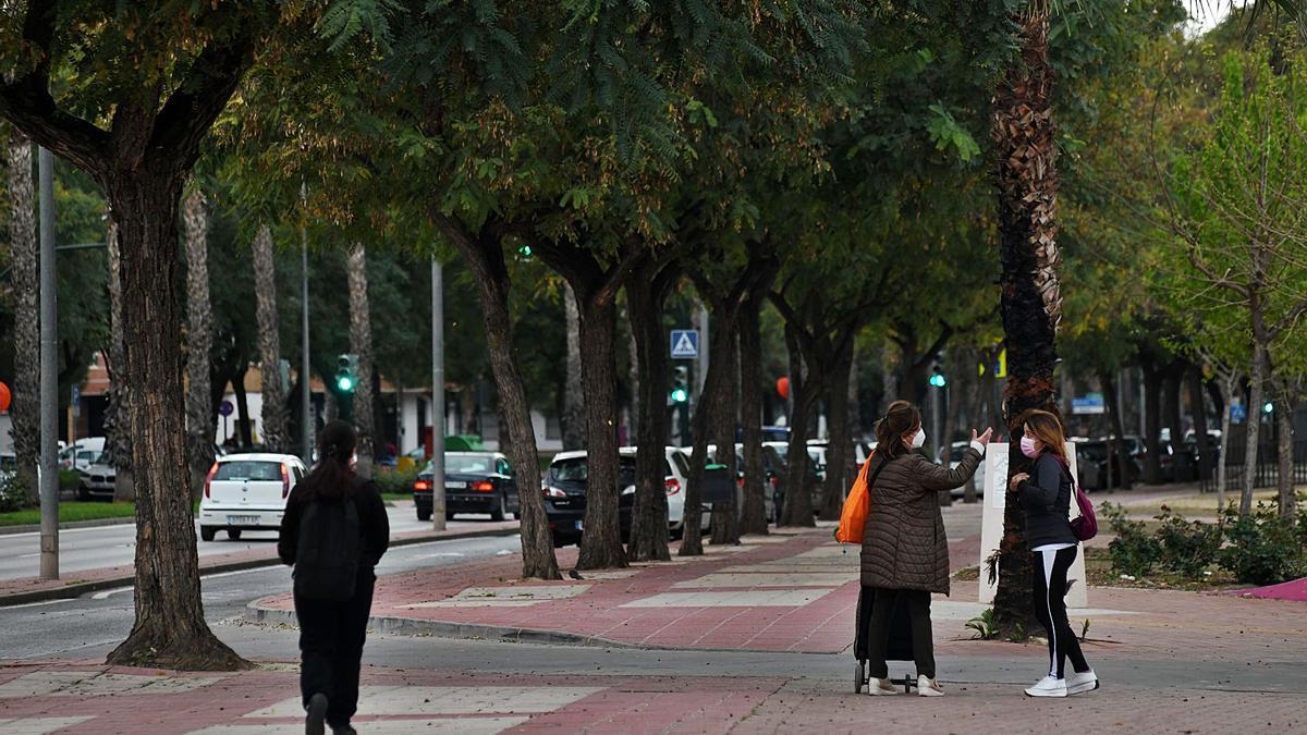 Varias personas pasean por la Avenida de los Pinos de Murcia, donde existen distintas especies arbóreas. |