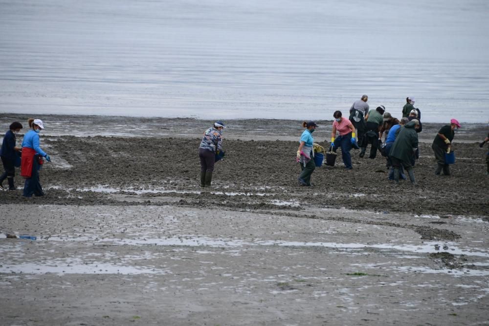 Mariscadores de Cangas y Moaña, en mar y en tierra