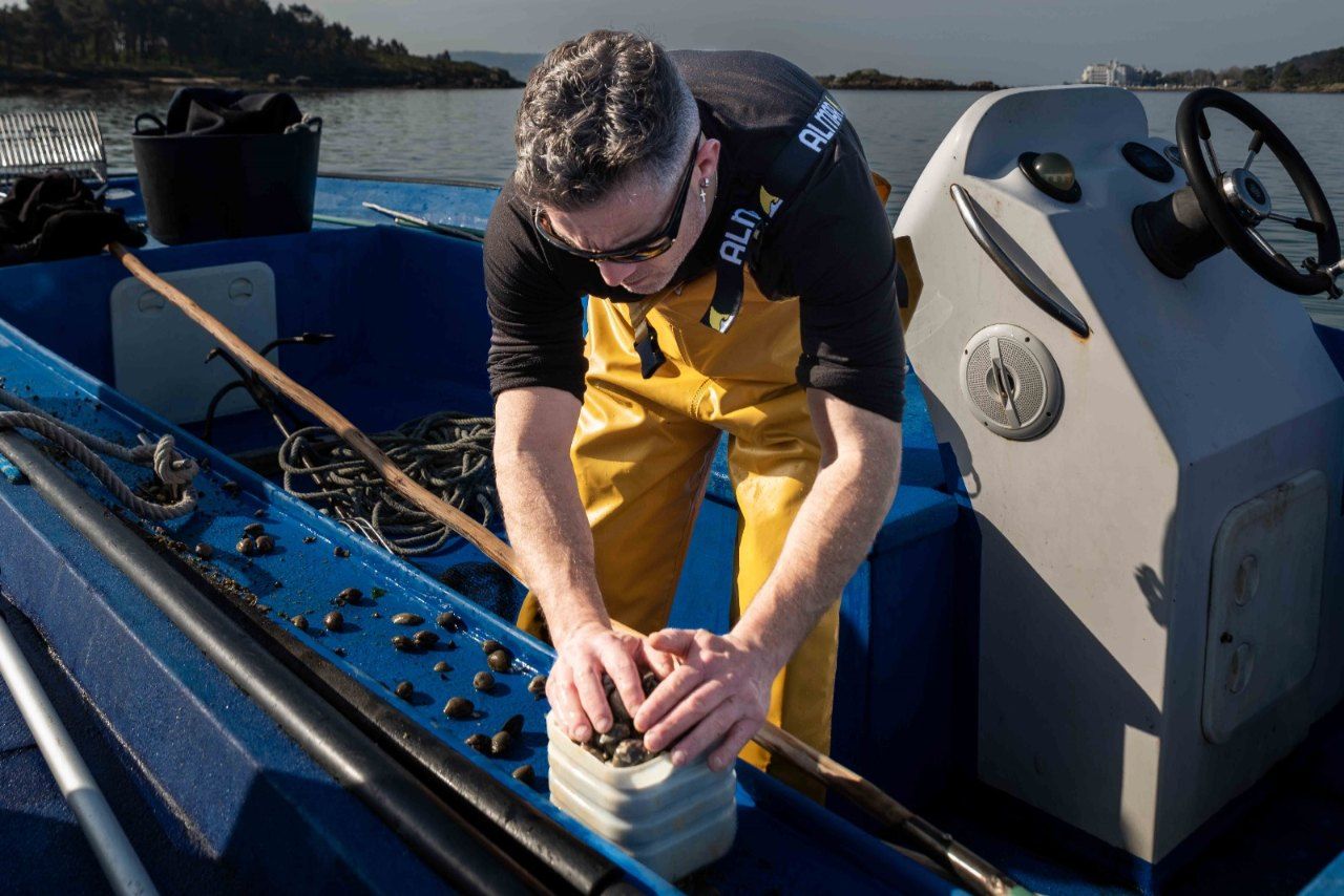 Mariscadores a flote (rañeiros) en el entorno de A Toxa (O Grove).