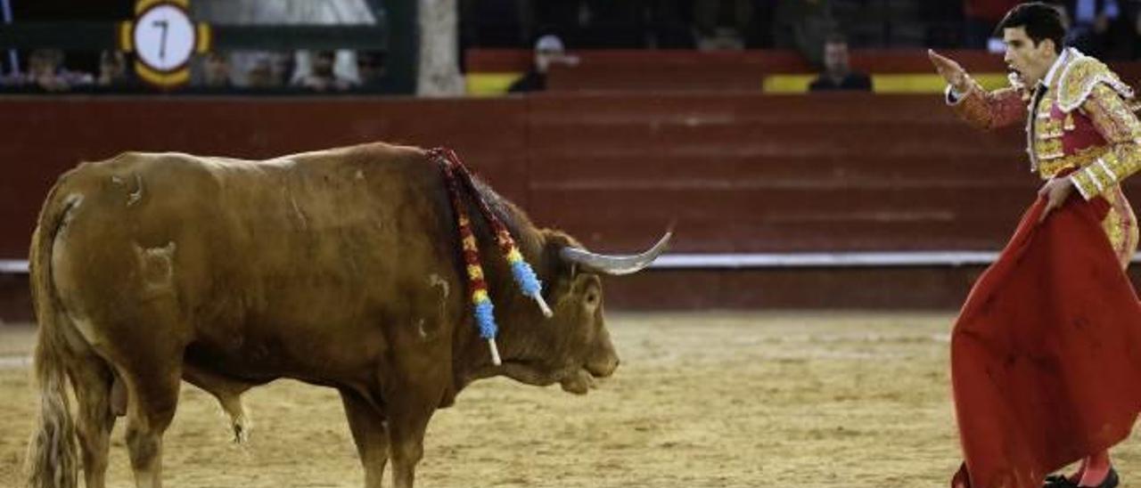 López Simón, simula entrar a matar a «Pasmoso», el toro indultado el domingo por la presidencia en la décima corrida de la Feria de Las Fallas.