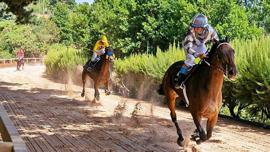 Los caballos vuelven a La Laguna  | JAVIER GARCÍA