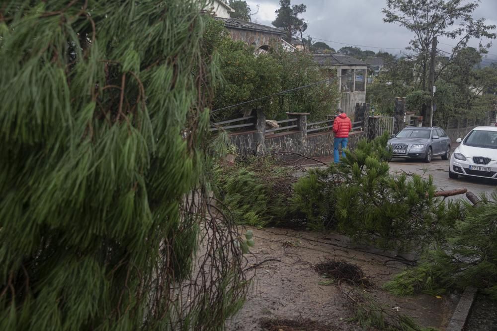 Destrosses a Riells i Viabrea per un tornado