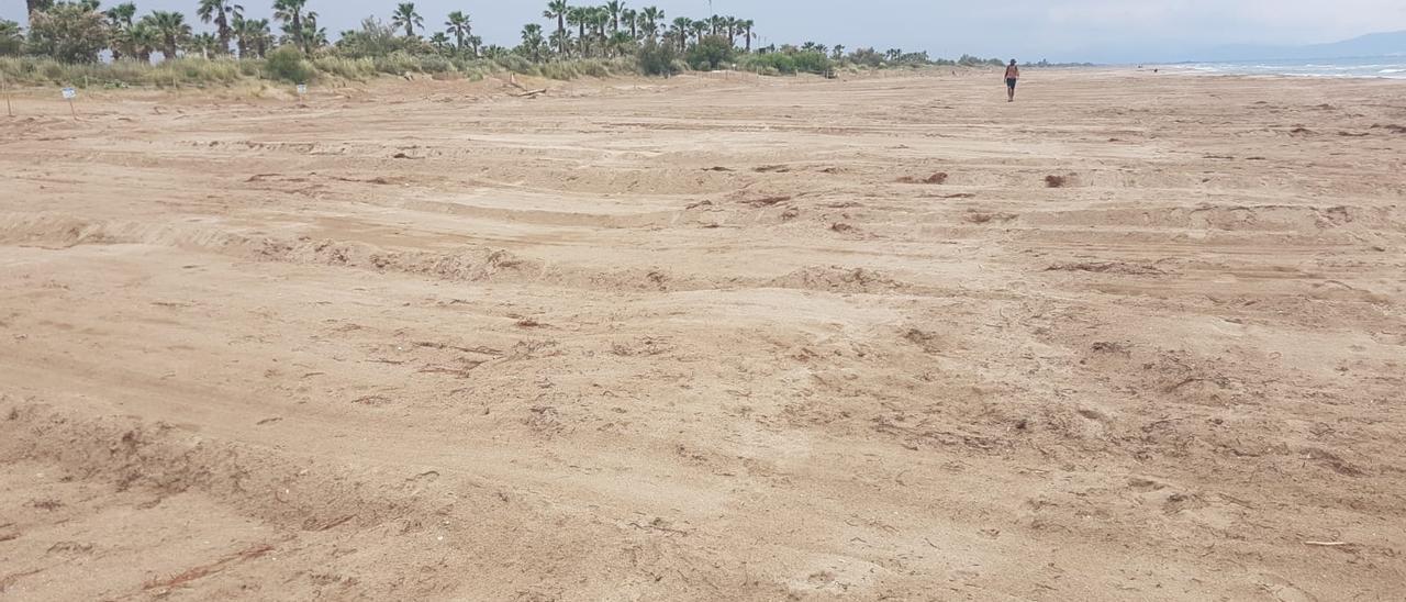 La intervenció a les dunes de Sant Pere que han sancionat els Agents Rurals. | DDG