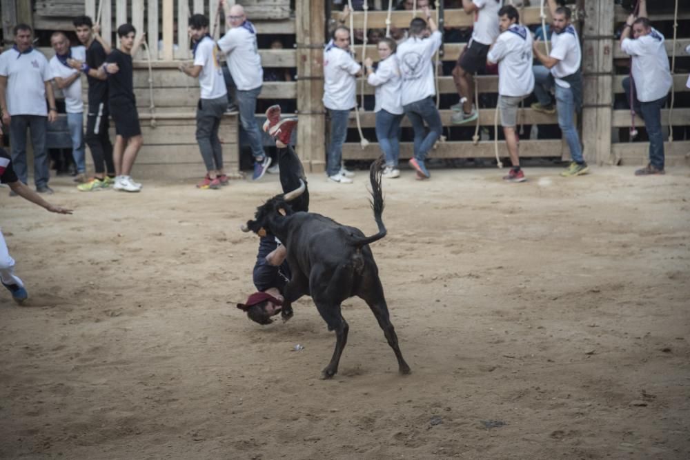 Corre de bou de diumenge a Cardona