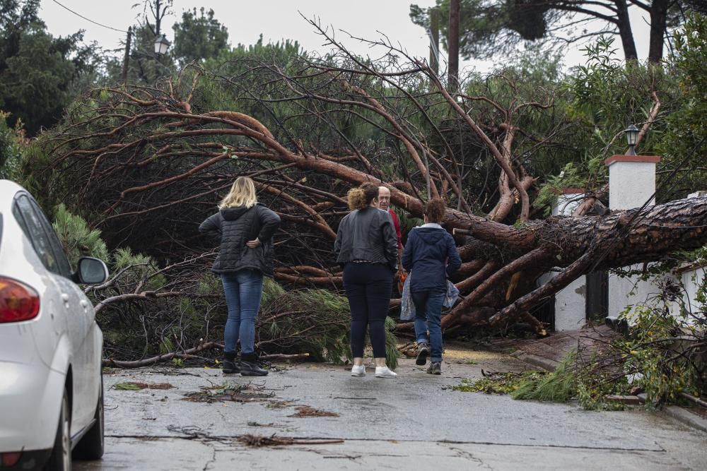 Destrosses a Riells i Viabrea per un tornado