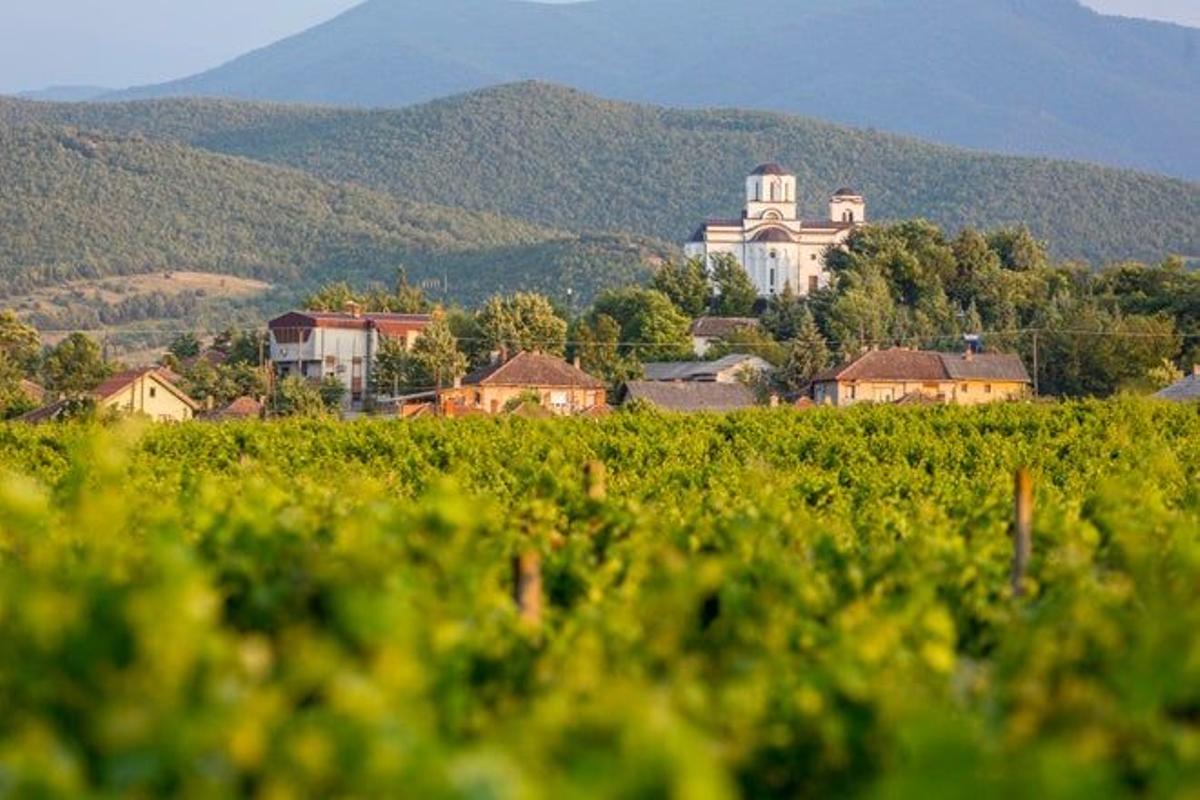 Región vinívola de Demir Kapija.