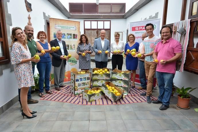 CONVENIO SPAR PRODUCTORES NARANJAS