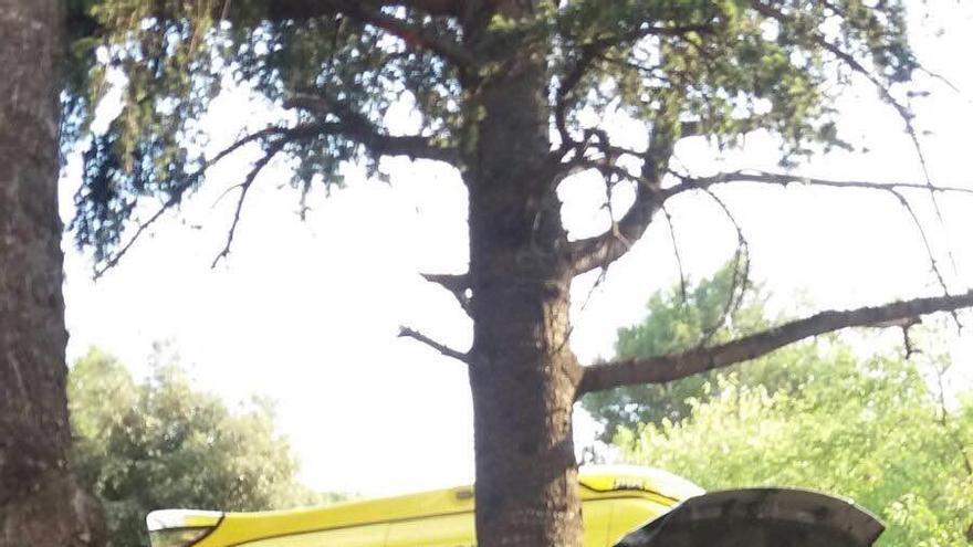 El vehicle sinistrat ha topat amb un arbre.