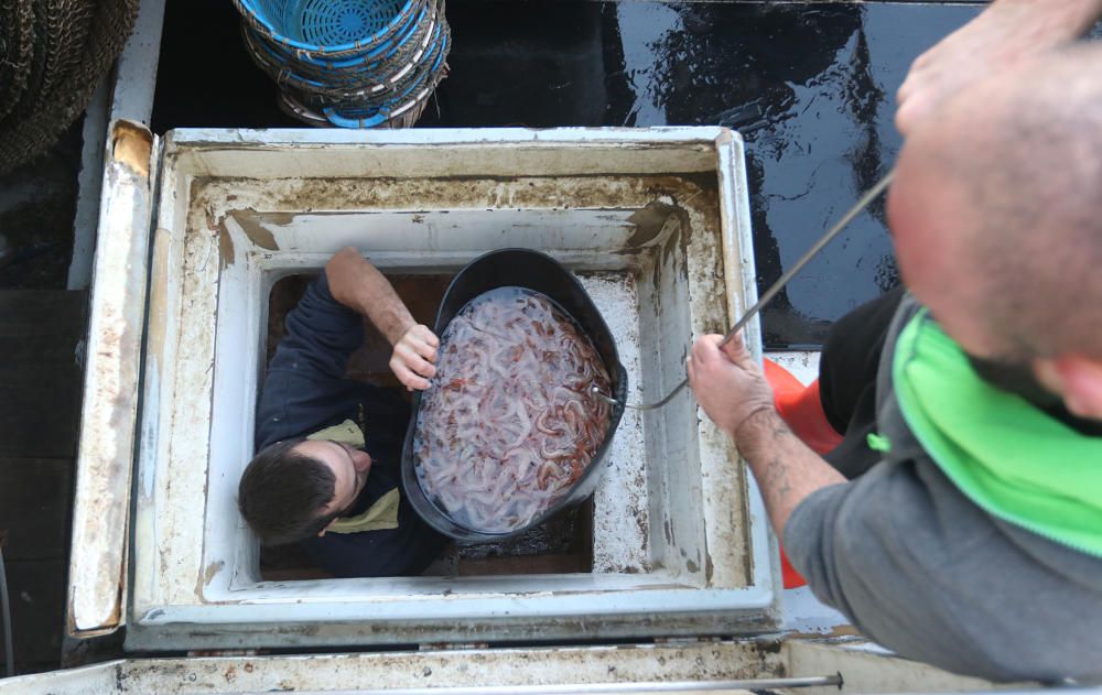 Tan solo cinco compradores y un barco se encargan de llevar el marisco y el pescado de arrastre cada día a la mesa de los malagueños donde la merluza y las gambas son las grandes protagonistas.