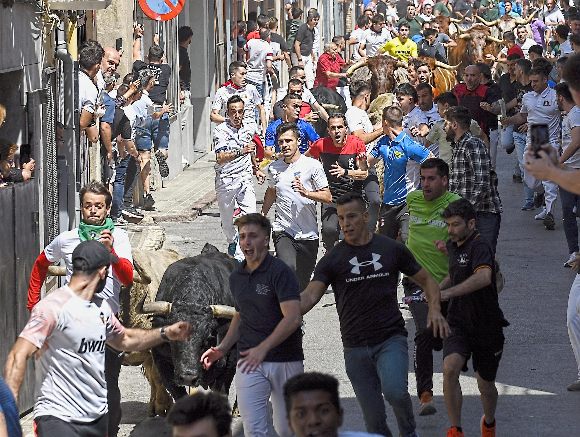 MACROGALERÍA DE FOTOS: Búscate en el encierro y los primeros 'bous' de las fiestas de Almassora