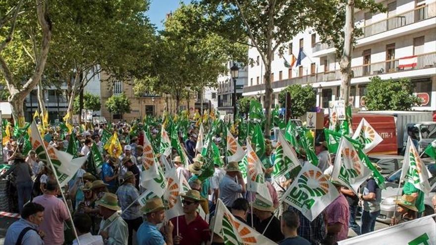 Miles de personas piden que la UE «enseñe los dientes» por la aceituna