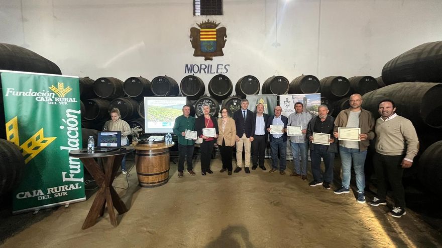 Unos galardones reconocen la detección precoz del mildiu en la zona de Montilla-Moriles