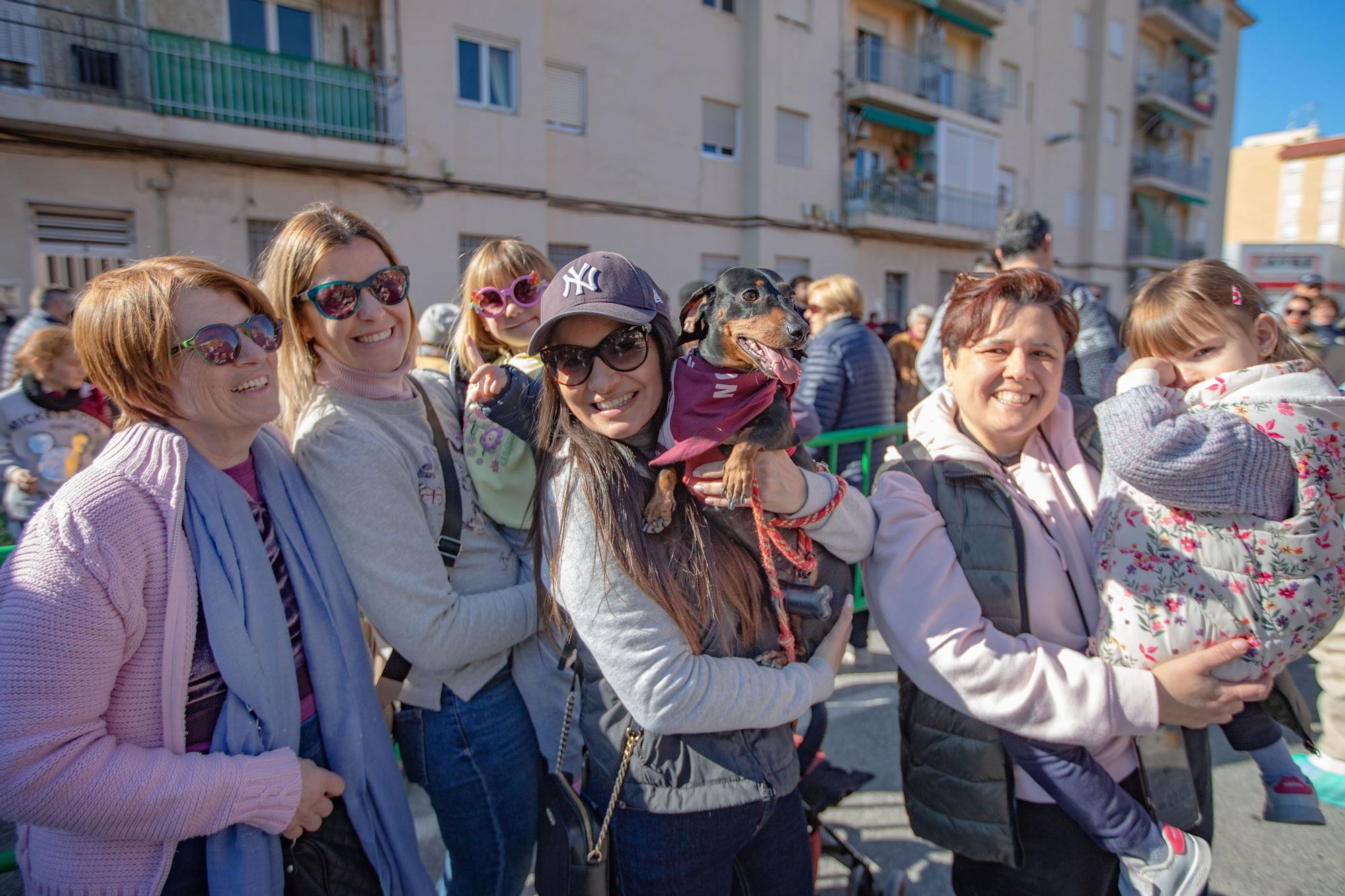 Romería y Bendición de animales en San Antón de Elche