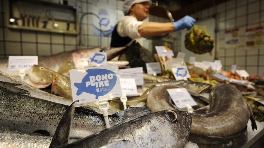 Carteles del «Bono Peixe» anuncian la medida de la Xunta en una pescadería.