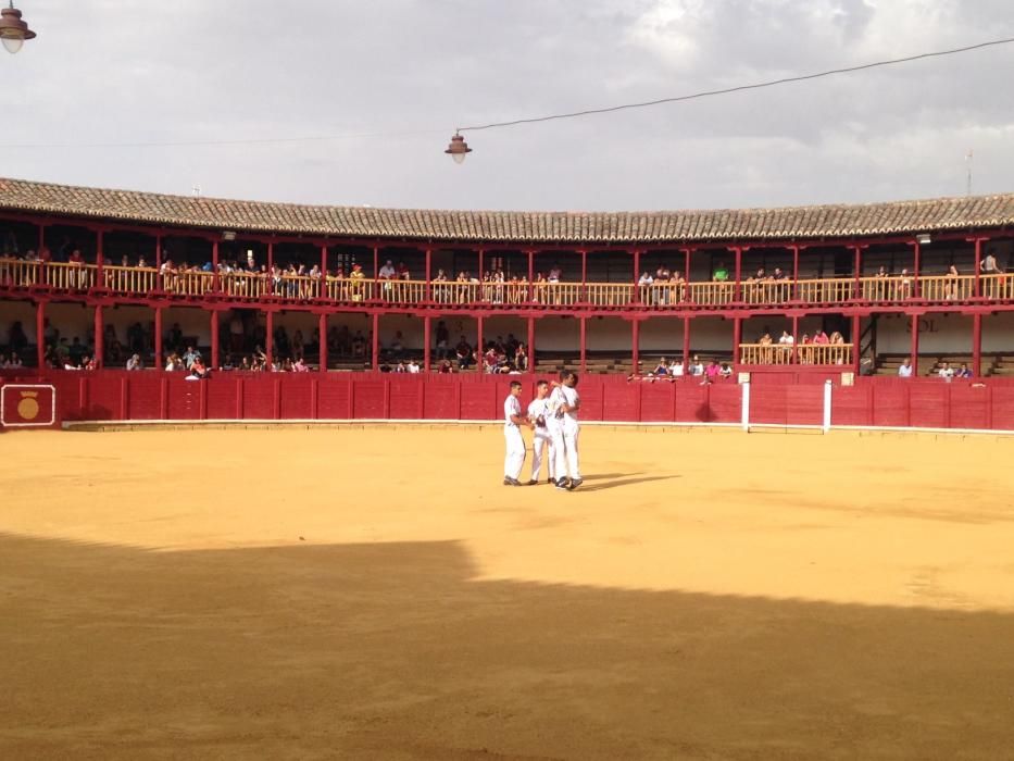 Fiestas Toro- concurso de jóvenes cortadores