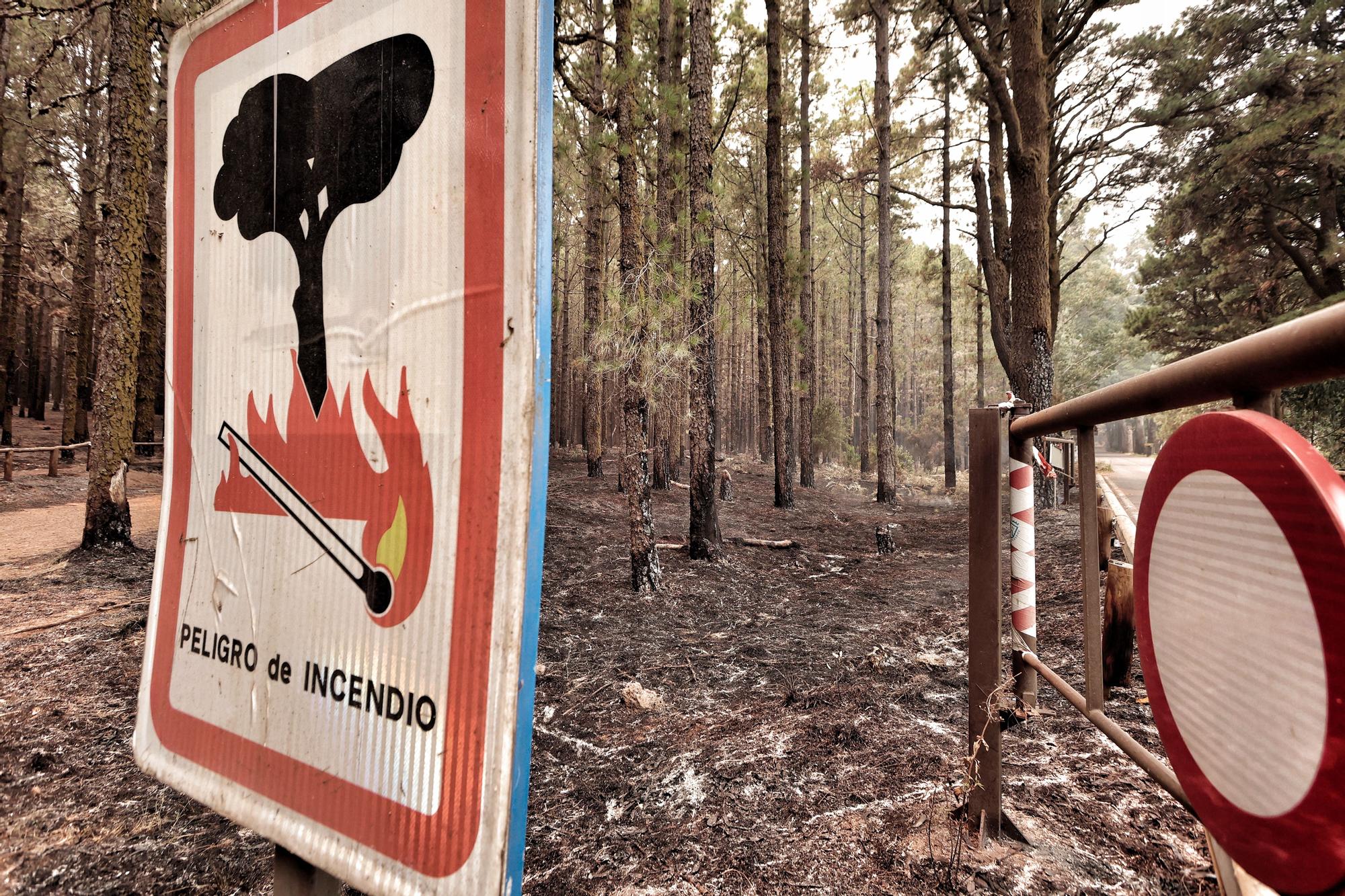 Evolución del incendio en Tenerife