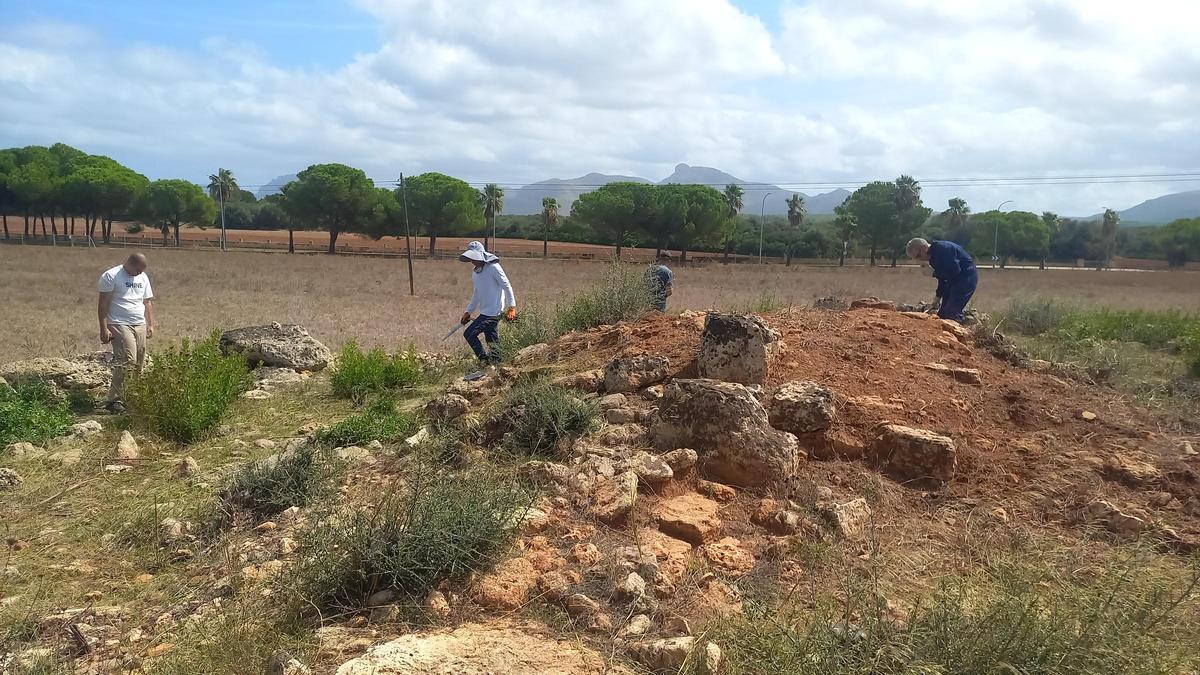 Miembros de Arqueocet trabajando en 2025 en el poblado de la Cova de sa Nineta (Santa Margalida)