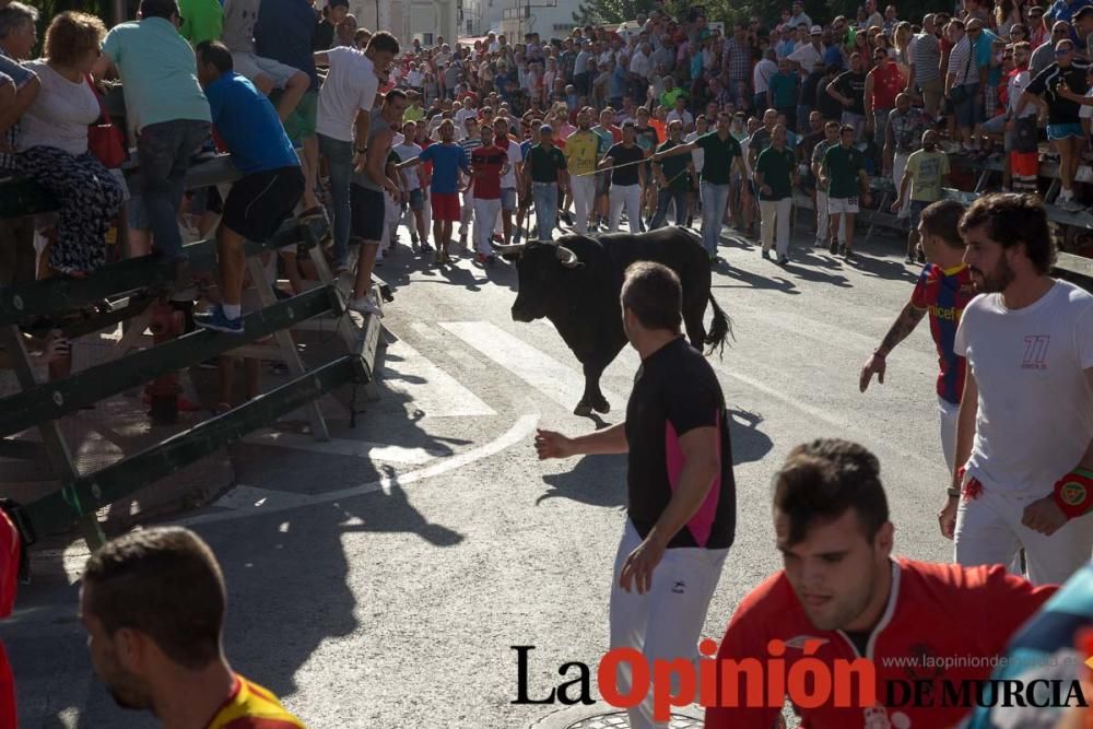 Primer encierro de Calasparra