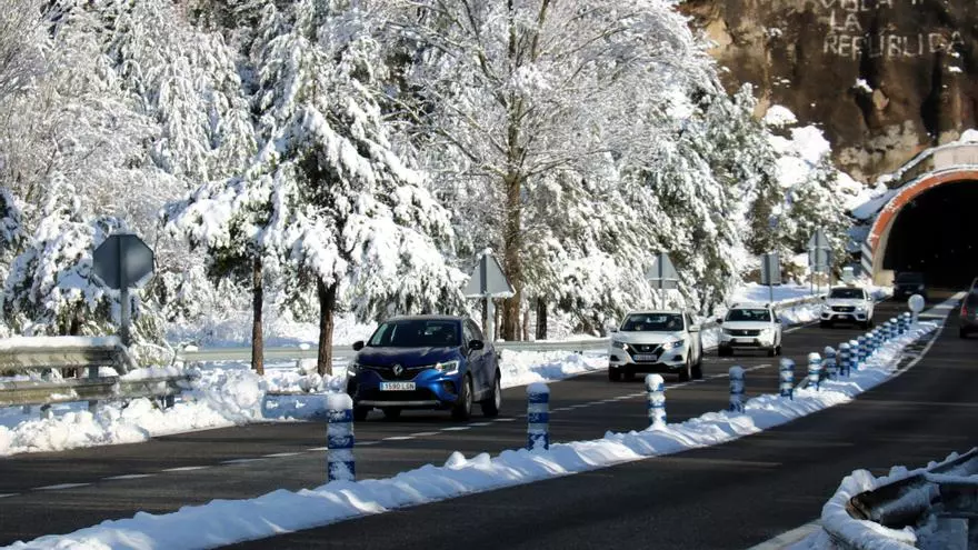 Els consells comarcals del Berguedà, Ripollès i Solsonès veuen amb bons ulls la doble consulta sobre els Jocs d'hivern
