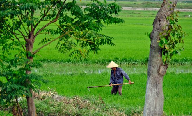 Vietnam