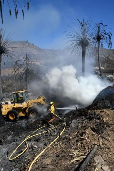 18/03/2019 FATAGA. SAN BARTOLOME DE TIRAJANA.  Incendio en Fataga, en la Finca Rural, Molino de Agua. Fotografa: YAIZA SOCORRO.  | 18/03/2019 | Fotógrafo: Yaiza Socorro