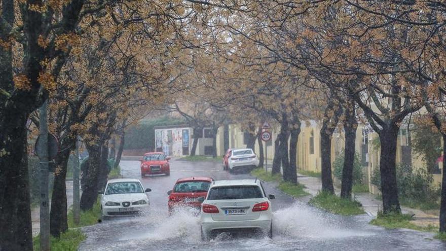 Una primavera demasiado húmeda