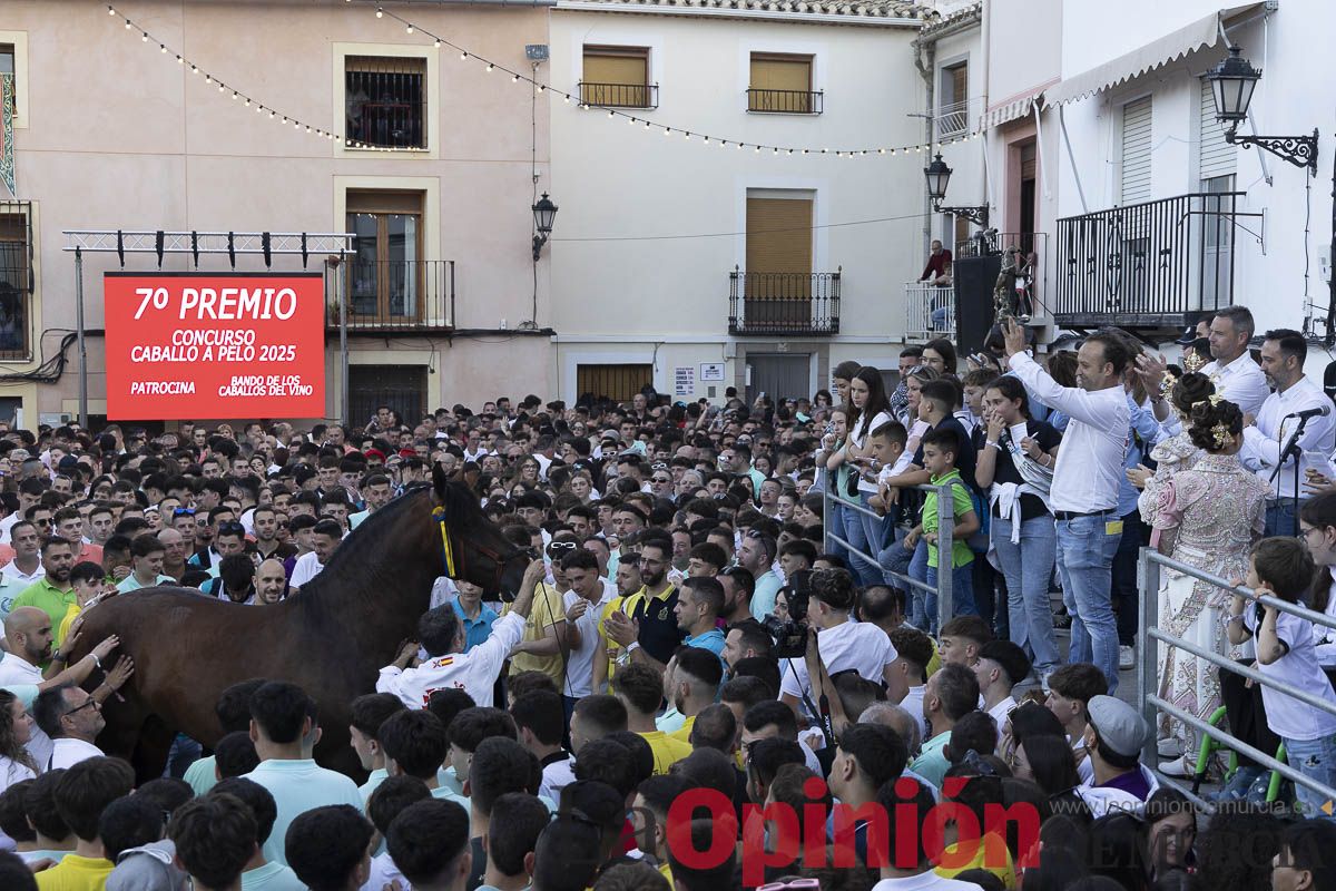 Fiestas de Caravaca | Entrega de premios del concurso morfológico