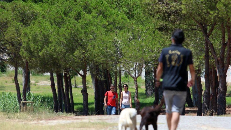 Remedios Ramos pide la comparecencia del alcalde por los «retrasos» en el Campamento Benítez