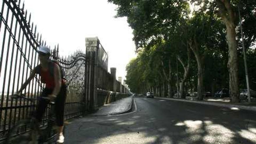 El Paseo de los Curas en una fotografía de 2010 con los frondosos plátanos.