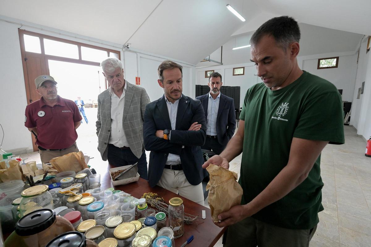El banco de semillas de El Hierro conservará especies autóctonas y variedades agrícolas