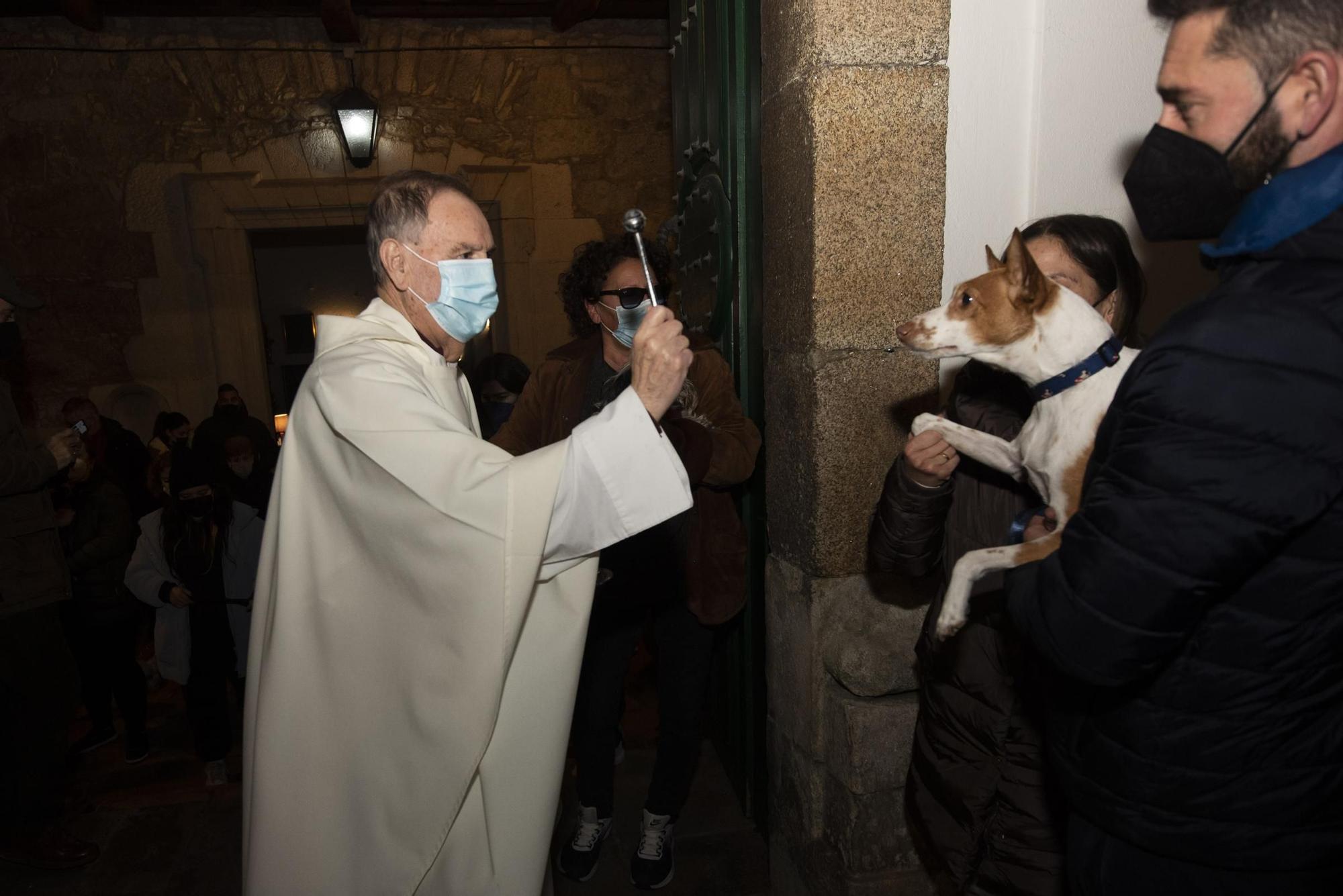 Bendición de mascotas en A Coruña por la festividad de San Antonio Abad