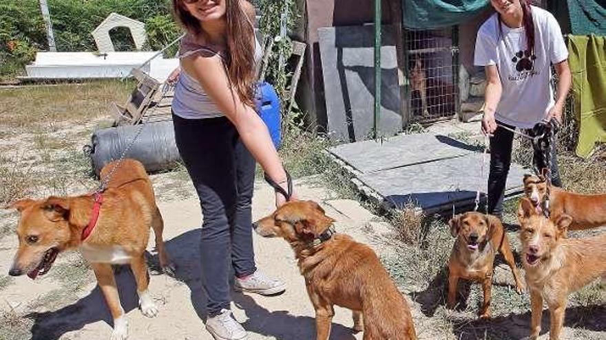 Dos voluntarias con perros en el refugio de Chaín. // Marta G. Brea