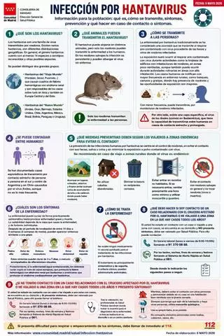 La guía de la Comunidad de Madrid con todo lo que hay que saber del hantavirus: medidas preventivas, síntomas, qué hacer si tengo contacto con un contagiado...