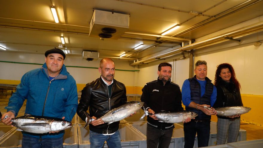 Arranca la temporada de bonito con un nuevo récord: 370 euros el kilo