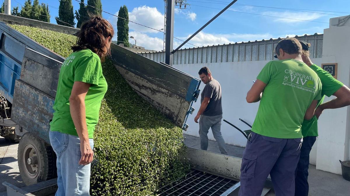 La Cooperativa de Viver es ejemplo de cómo combinar éxito económico con compromiso social y ambiental.