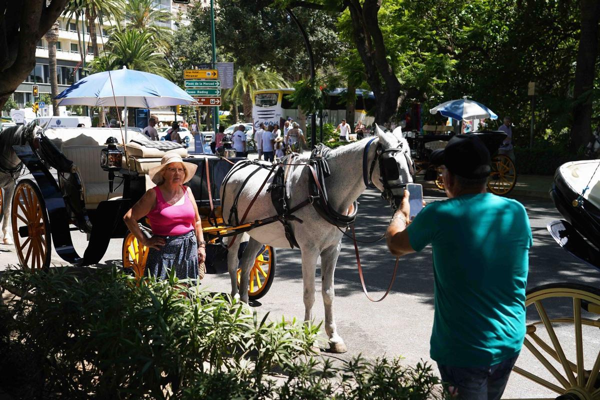 MLG 16-07-2024.-Cocheros en una parada de coches de caballos en la capital.