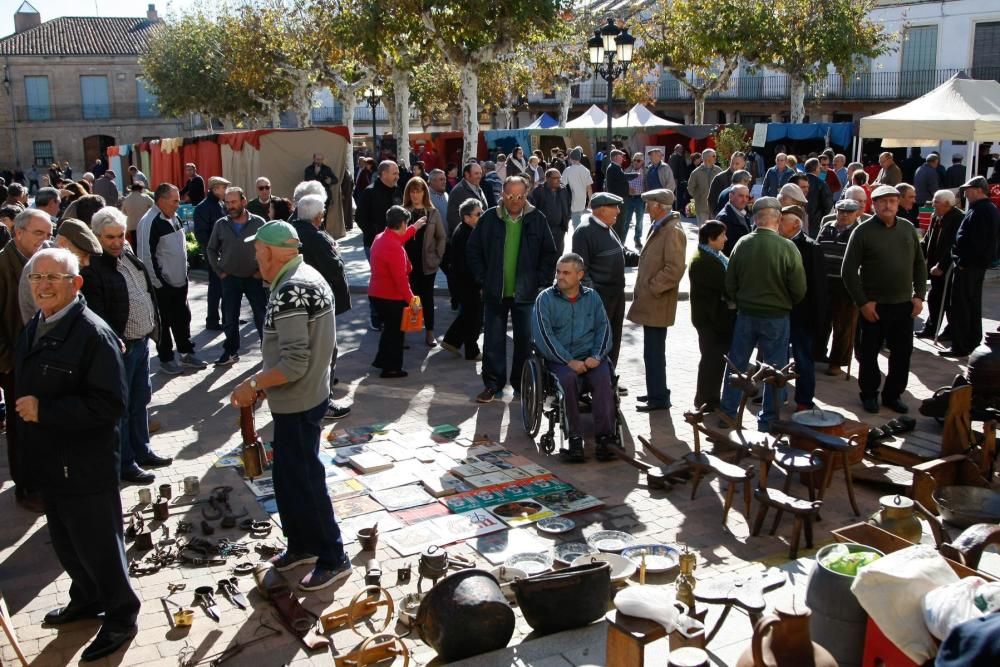 Feria de los Santos Fuentesaúco