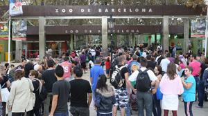 Les cues a l’entrada del Zoo de Barcelona són una constant els caps de setmana i els dies festius.